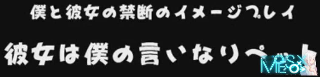 求 日文手打 不求资源~或番号